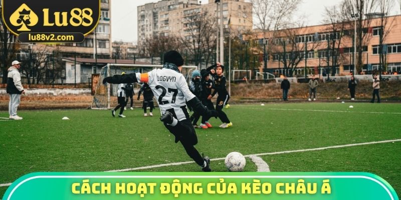 Cách hoạt động của kèo châu Á
