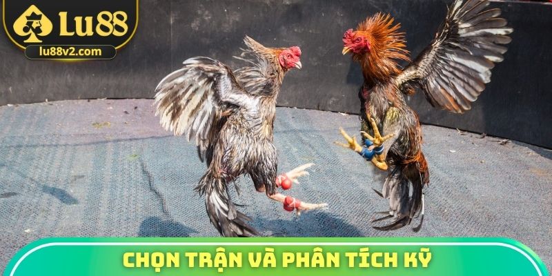 Chọn trận và phân tích kỹ