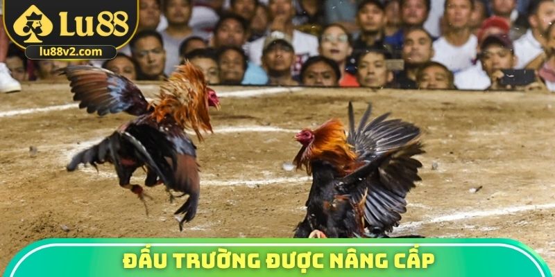 Đấu trường được nâng cấp