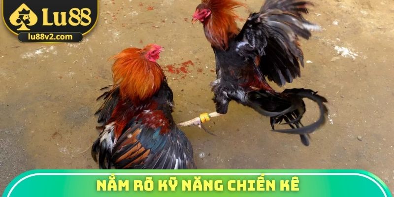 Nắm rõ kỹ năng chiến kê